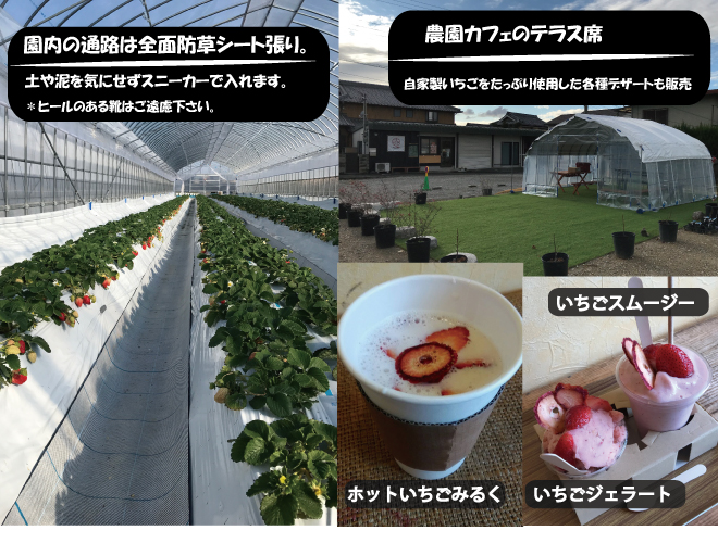 いちご園レストスペース写真