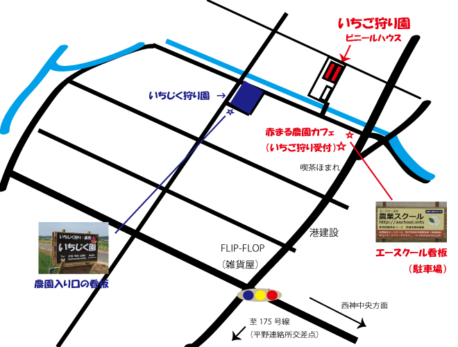 いちご狩り園の地図