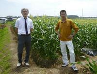 ドリームズ画像