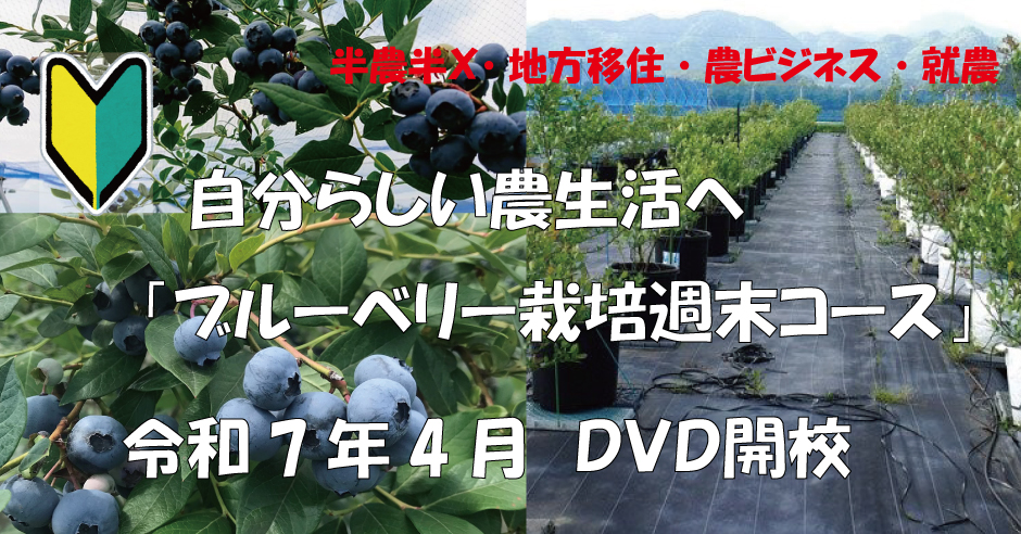 半農半X,地方移住,農ビジネス,就農,週末自分らしい農生活へ,ブルーベリー栽培週末コース,7年4月開講